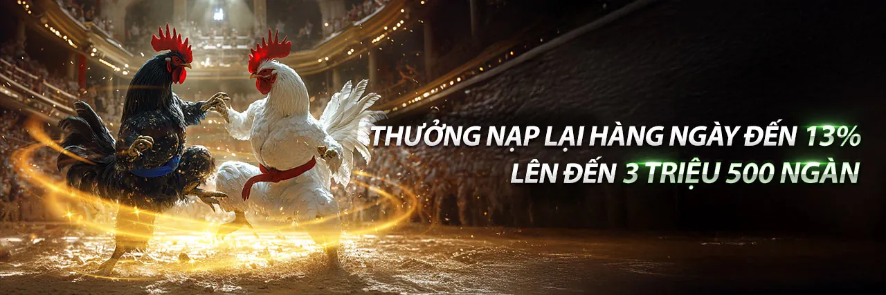 Các chương trình khuyến mãi và ưu đãi độc quyền tại kk55 login